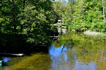 A view of a shallow river or lake with its bottom clearly visible surrounded with trees, shrubs, and other kinds of flora spotted on a sunny summer day during a hike on a Polish countryside