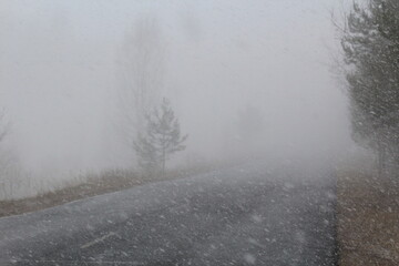 Obraz premium snow storm in mid-May