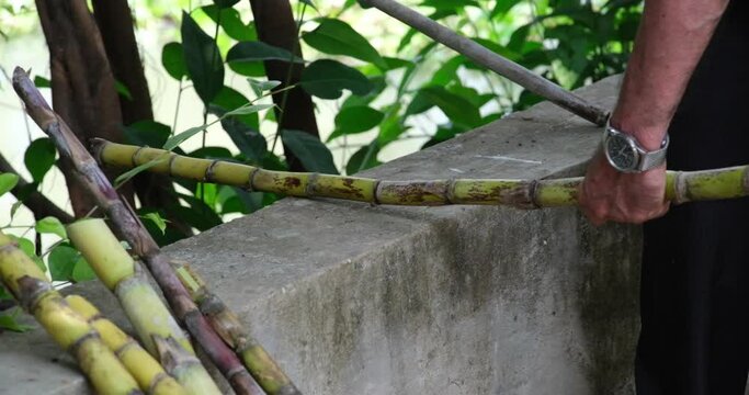 Fresh Sugar Cane Juice. Sari Tebu or Sugar cane juice or garapa is the liquid extracted from sugar cane in milling process. Typical drink from Brazil. organic and natural. Small Business. 4K video