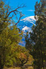 Lanin volcano surrounded by clouds, clear summit in sight and ice glaciers, between Argentina and Chile, Lanin National Park