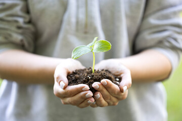 Hand holding sprout for growing nature