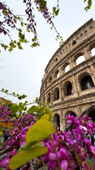 Obraz premium Rome Colosseum