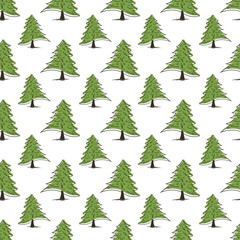 Seamless pattern with green pine trees on white background. Vector illustration.