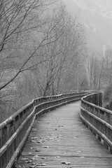 Obraz premium bridge in winter