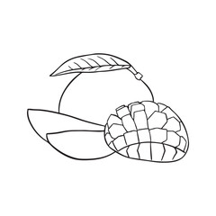 mango line drawing