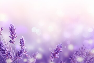 Lavender and Silver background,Illustration of a purple floral background 