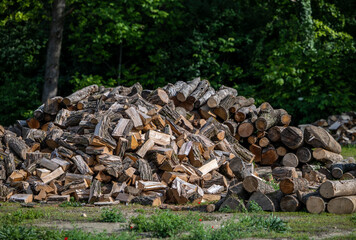 Fire woods at edge of forest