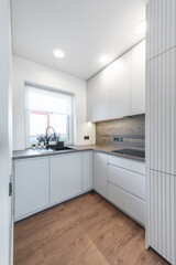 Small Luxury Kitchen Interior. Sink and Windows. LED Light on the Ceiling.