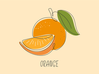 Juicy ripe orange line drawn background. Abstract sliced Tropical citrus fruit card. Element for design isolated. Ingredient for juice, lemonade, cocktail, tea