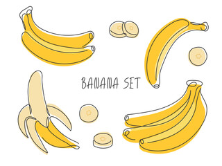 Various bananas set. Bunch, slices, peeled banana fruit isolated on white. Continuous line drawn modern illustration. Ingredient for dessert, smoothie, cocktail. Design element