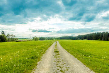 Feldweg mit grüner Wiese