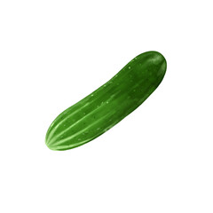 cucumber on a transparent background