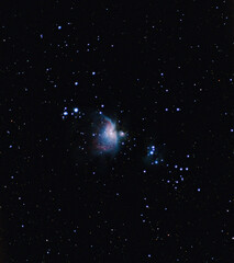 Orion nebula
