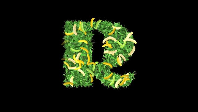 Botanical Alphabet Typography: Letter 'R' in Banana with leaves and Branches, This video offers a captivating blend of typography and nature.