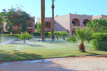 Grassy lawn among palm trees at resort. Hotel with well-groomed territory