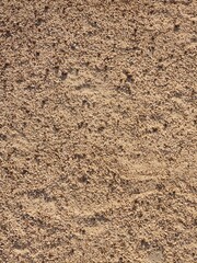 sandy background