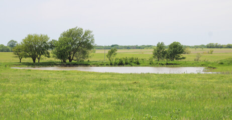 Fototapeta premium a creek for fishing and ice skating located in a rural scenic area