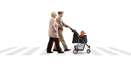 Elderly couple crossing a street with a dog stroller