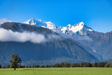 Obraz premium New Zealand