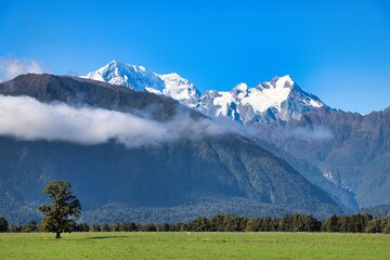 Obraz premium New Zealand