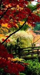 autumn leaves in the forest