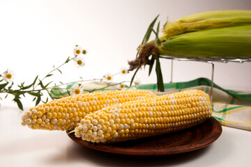 Clay plate with two cobs sweet corn on white wooden background..