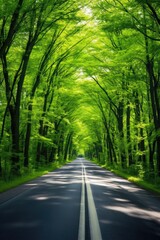 Obraz premium A long road towards the horizon through a green forest