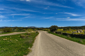 Entrance road to the village of Conquista. Cordoba, Andalusia, Spain