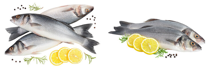 Sea bass fich isolated on white background . Top view. Flat lay