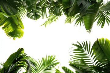 Minimalistic white summer background with copy space for text, abstract and beautiful concept