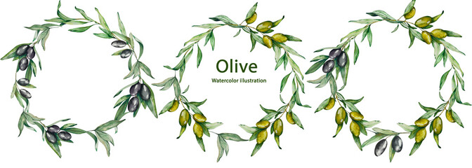 Set of Wreaths Frames. Watercolor Olive Twigs with Fruits, Leaves. White Background. For Packaging Design Cosmetics, Home Textiles, Invitations, Cafe Menus, Tableware, Stationery, Business Cards