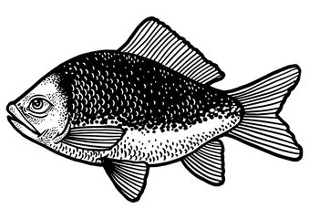 Fish with human eye sketch engraving PNG illustration. T-shirt apparel print design. Scratch board imitation. Black and white hand drawn image.