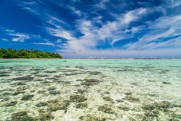 Tropical lagoon in Rarotonga, coast with corals. Azure blue sky with clouds and turquoise water...