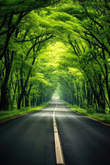 A long road towards the horizon through a green forest