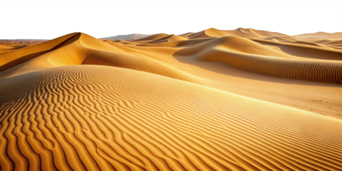 stunning desert landscape dunes sand mountains wavy sand surface transparent background
