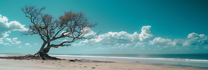 A dead tree on the beach with a blue sky in the background realistic nature and landscape
