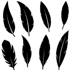 different type of Feather Set icon, a different position feather logo isolated on white background