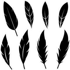 different type of Feather Set icon, a different position feather logo isolated on white background