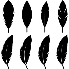 different type of Feather Set icon, a different position feather logo isolated on white background