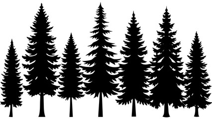 Obraz premium different type of Vintage forest pine trees with ground soil silhouette