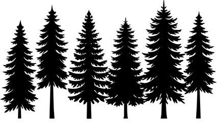 Obraz premium different type of Vintage forest pine trees with ground soil silhouette