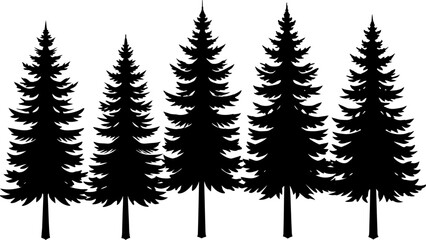 Fototapeta premium different type of Vintage forest pine trees with ground soil silhouette