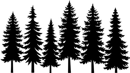 Obraz premium different type of Vintage forest pine trees with ground soil silhouette