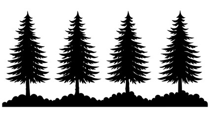 Obraz premium different type of Vintage forest pine trees with ground soil silhouette