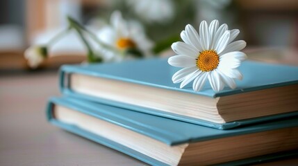 A neatly stacked pile of books with blue covers, topped with a single daisy flower, set against a...
