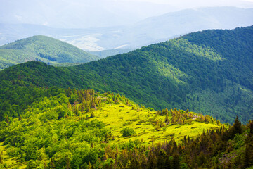 mountainous carpathian landscape of ukraine with forested hills in summer. view from mountain pikui