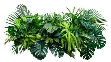 Obraz premium A vibrant arrangement of tropical foliage featuring Monstera, palm leaves, and Bird's nest fern, expertly assembled to serve as an indoor garden backdrop