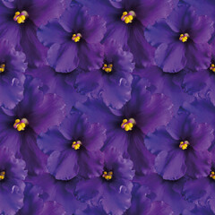 A close up of purple flowers with yellow centers seamless background. The flowers are arranged in a...