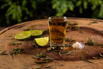 Tequila com limão, sal e alecrim decorativos