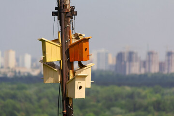 Homemade wooden birdhouses and a city on the horizon